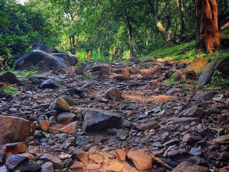 Seg&iacute;ts&eacute;g a gy&aacute;szban